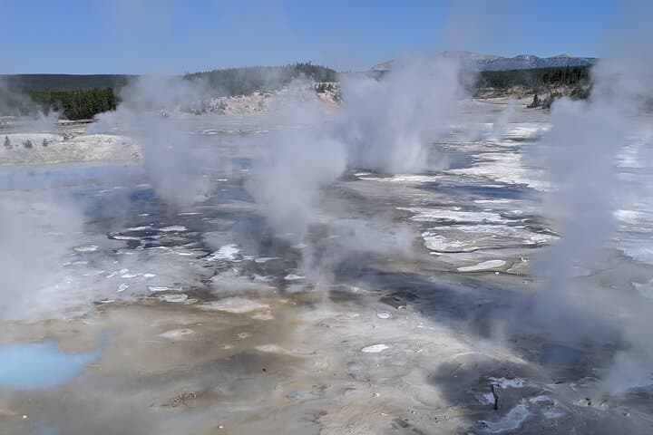 Explore Yellowstone’s Upper Loop: Wildlife, Geysers, and Scenic High Country photo 6