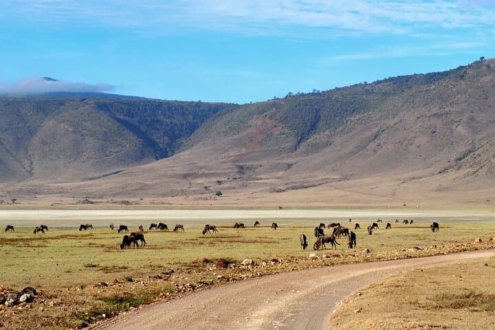 4-Day Shared Camping Safari: Tarangire, Serengeti & Ngorongoro Crater photo 4