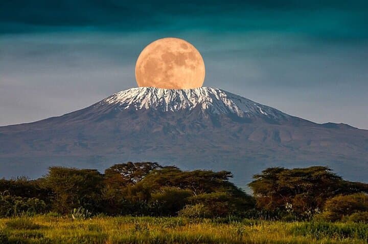 6-Day Kilimanjaro Hike — Marangu Route to Uhuru Peak photo 4