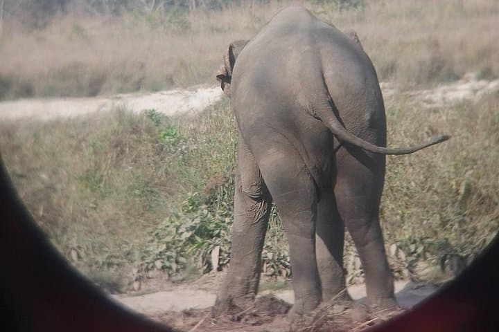 Silent Jeep Safari in Chitwan: Private Full-Day Wildlife Drive from Madi photo 2