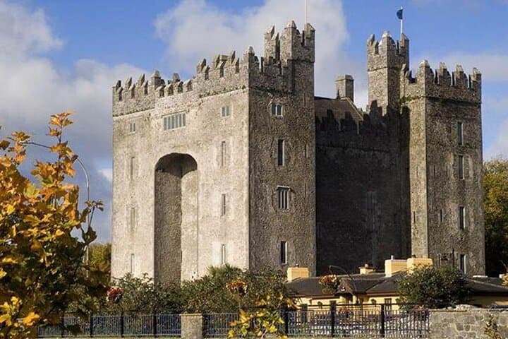 Private Cliffs of Moher Small-Group Tour from Limerick — Doolin, The Burren & Bunratty photo 4