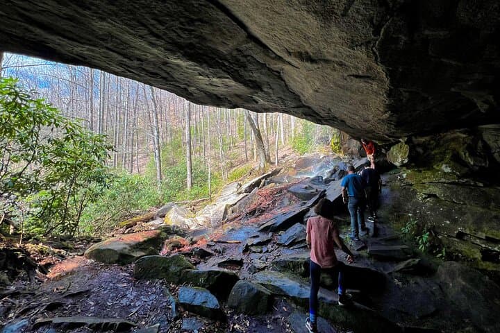 Asheville Pisgah Waterfall Hike and Jeep Tour — Half-Day Waterfall Excursion photo 4