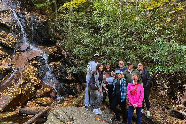 Asheville Pisgah Waterfall Hike and Jeep Tour — Half-Day Waterfall Excursion photo 5
