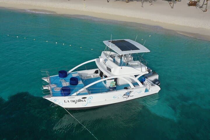 Private Full-Day Catamaran Charter to Saona Island from Punta Cana