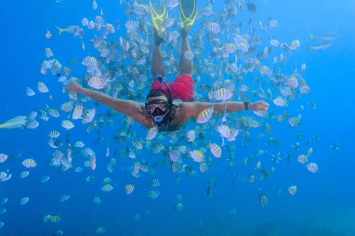 Private Full-Day Catamaran Charter to Saona Island from Punta Cana photo 2