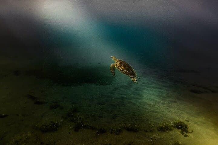 Full-Day Guadeloupe Island Tour: Waterfalls, Black Sand Beaches & Snorkeling photo 2