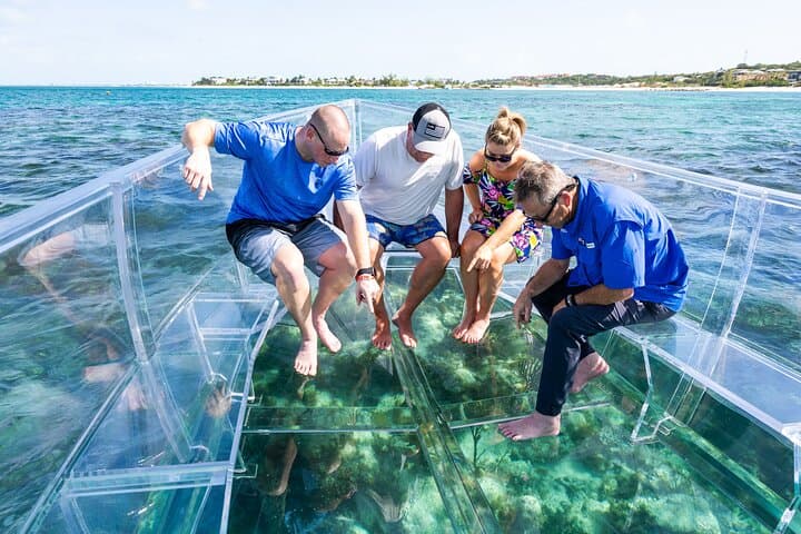 Clear-Boat Reef & Turtle Tour — 75 Minutes in Providenciales