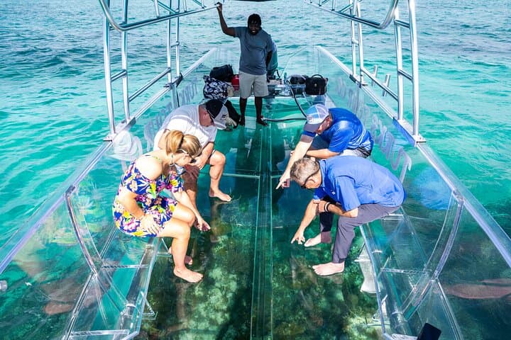 Clear-Boat Reef & Turtle Tour — 75 Minutes in Providenciales photo 2
