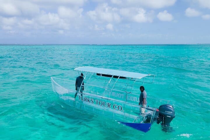Clear-Boat Reef & Turtle Tour — 75 Minutes in Providenciales photo 3