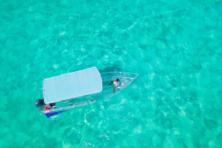 Clear-Boat Reef & Turtle Tour — 75 Minutes in Providenciales photo 4