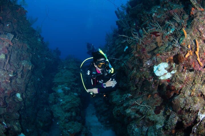 Copamarina Two-Tank Scuba: Epicenter & The Wall Dives, Puerto Rico photo 4