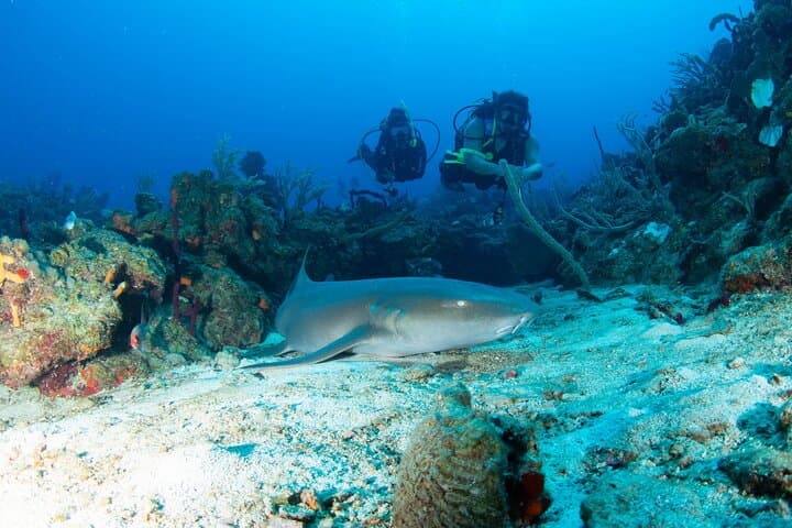 Copamarina Two-Tank Scuba: Epicenter & The Wall Dives, Puerto Rico