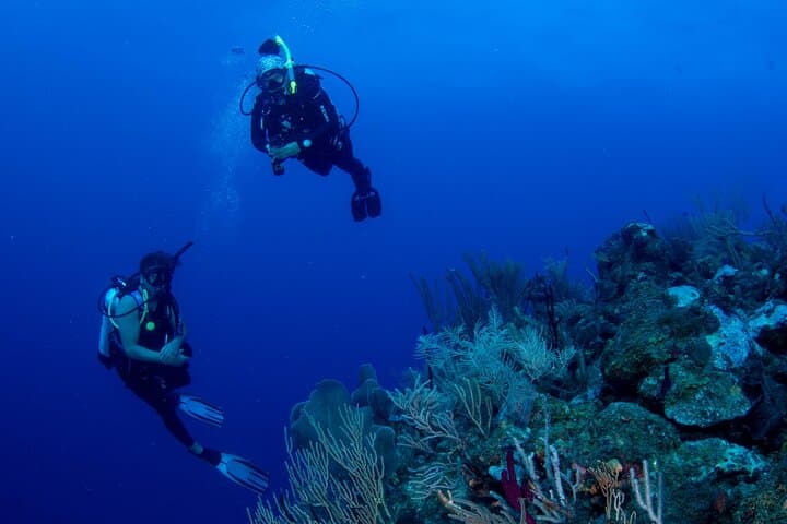 Copamarina Two-Tank Scuba: Epicenter & The Wall Dives, Puerto Rico photo 3