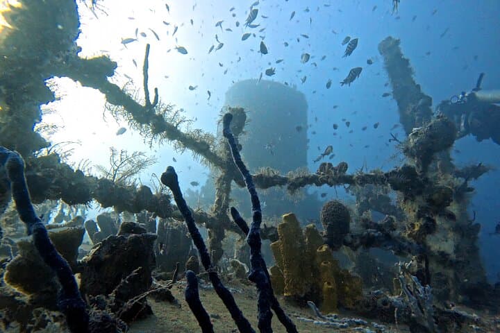 Private Wreck-Diving Charter: 2 Dives in Bayahibe from Punta Cana photo 4