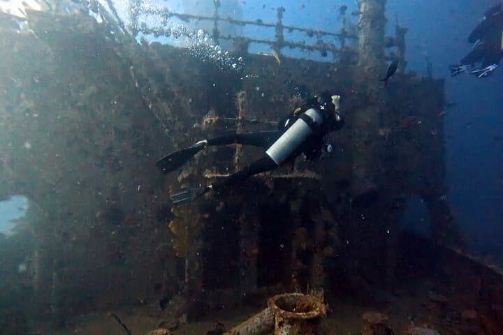 Private Wreck-Diving Charter: 2 Dives in Bayahibe from Punta Cana photo 5