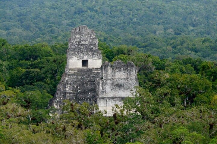 Tikal Exclusive Full-Day Private Tour from Flores — Private Guide & Transport photo 3