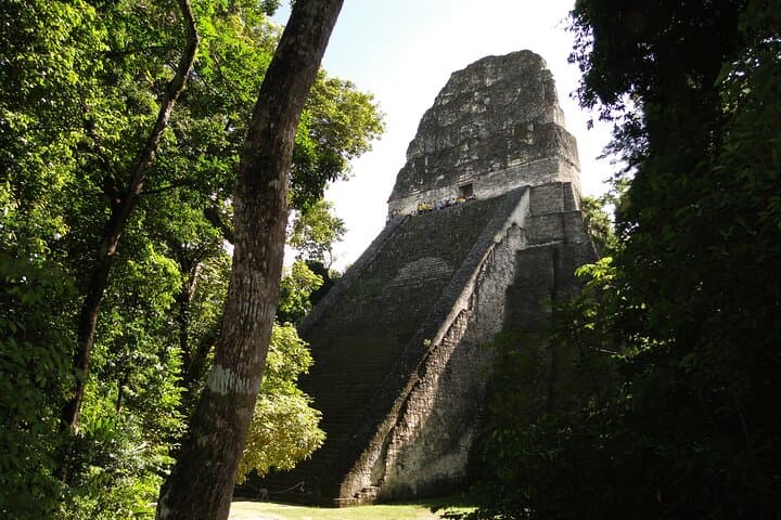 Tikal Exclusive Full-Day Private Tour from Flores — Private Guide & Transport photo 5
