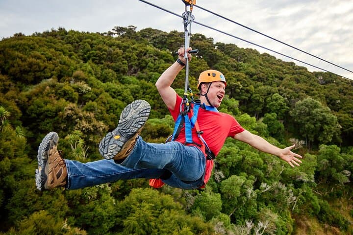 Thrill Above Kaikoura: Half Day Zipline Adventure Over Native Forests and Farmland photo 5