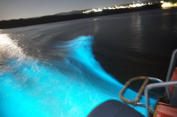 Luminous Lagoon Night Swim: Montego Bay’s Glistening Waters Experience photo 5