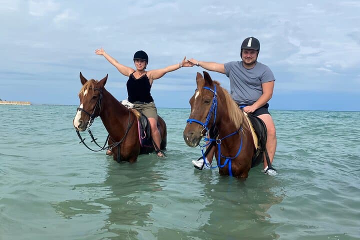 Horseback Riding in Hurghada: Beaches, Dunes & Arabian Horses (Private Transfer) photo 3