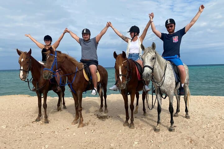 Horseback Riding in Hurghada: Beaches, Dunes & Arabian Horses (Private Transfer) photo 4