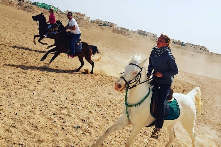 Horseback Riding in Hurghada: Beaches, Dunes & Arabian Horses (Private Transfer) photo 6