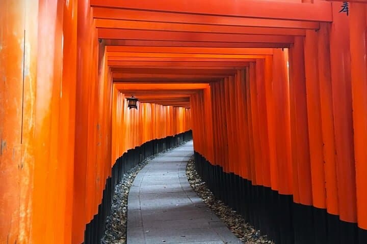 Private Fushimi Red Gates & Secret Bamboo Mountain Trekking Tour — Kyoto Hike to Inari Summit photo 2
