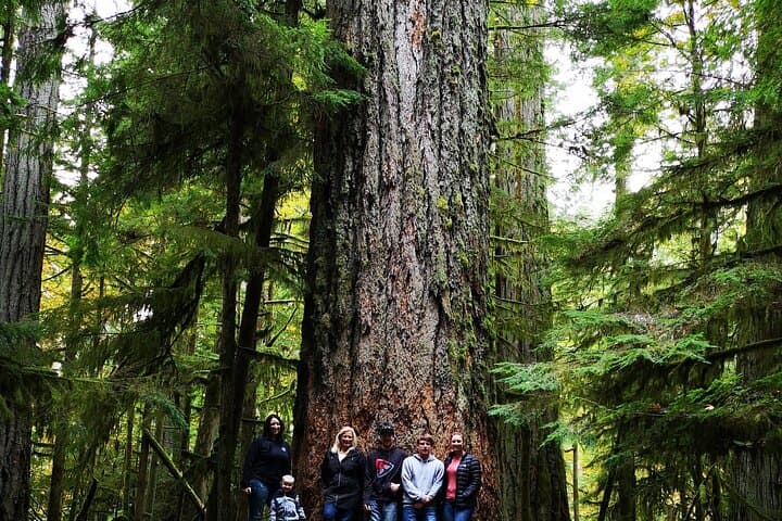 Vancouver Island Waterfalls, Cathedral Grove & Coombs Private Tour photo 6