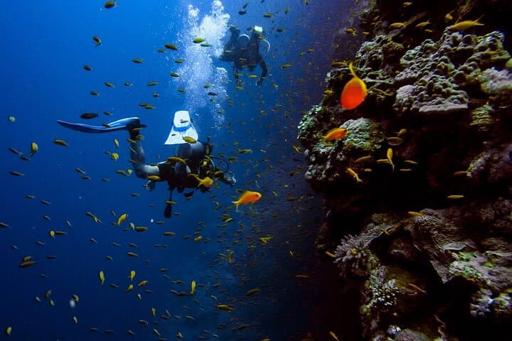 Alanya Mediterranean Scuba Diving: Two-Dive Beginner Tour with Lunch & Transfer photo 4