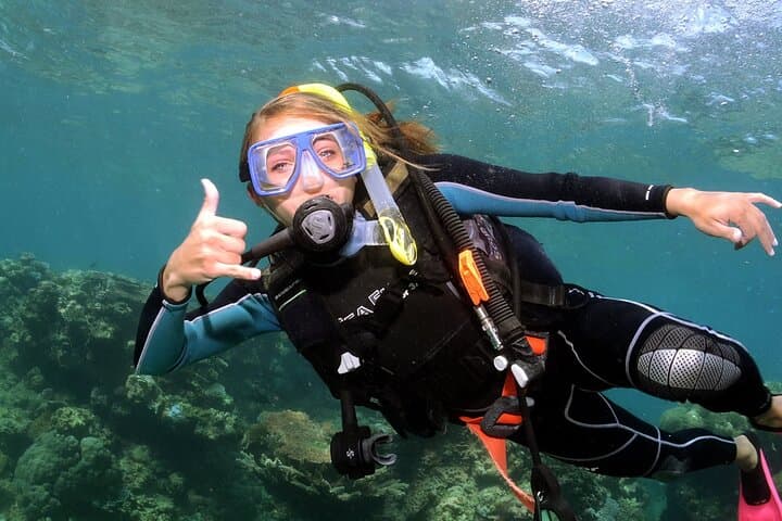 Alanya Mediterranean Scuba Diving: Two-Dive Beginner Tour with Lunch & Transfer photo 5