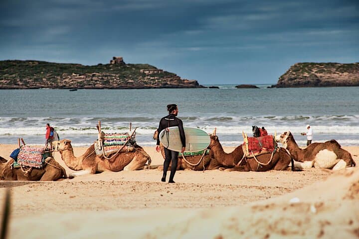12-Day Private Morocco Tour: Imperial Cities, Sahara Dunes & Atlantic Coast photo 4