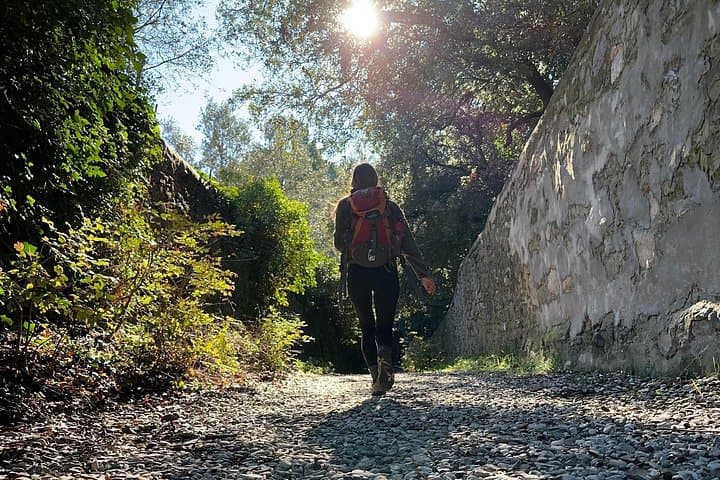 Fiesole Hike and Italian Aperitivo: Monte Ceceri, Olive Groves & Leonardo's Flight photo 2