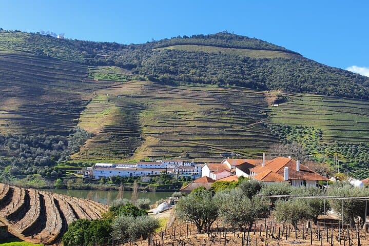 Douro Valley Day Tour from Porto: 2 Wineries, Lunch & Pinhão Boat photo 5