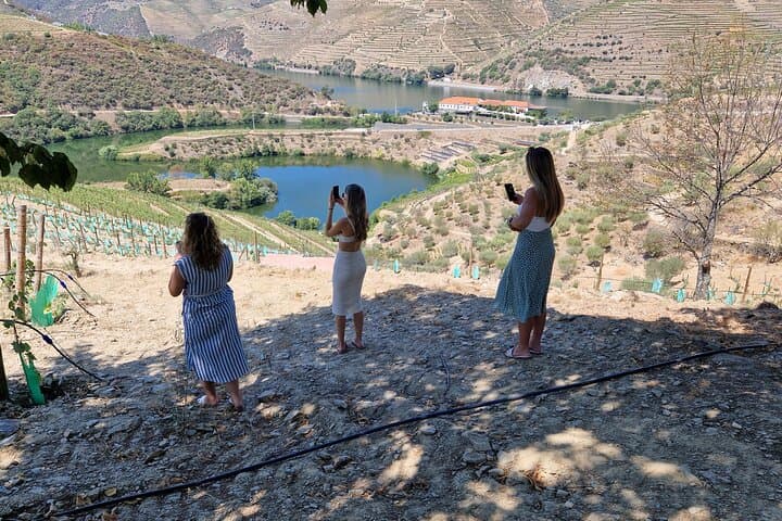 Douro Valley Day Tour from Porto: 2 Wineries, Lunch & Pinhão Boat
