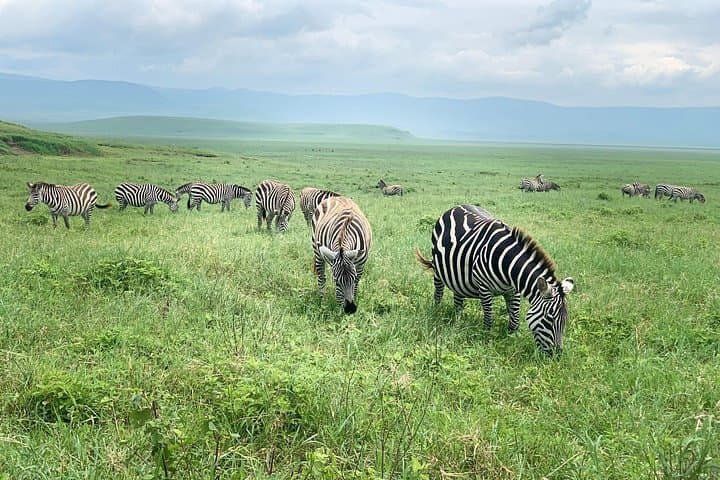 Budget 2-Day Safari: Tarangire and Ngorongoro Crater Group Tour photo 2