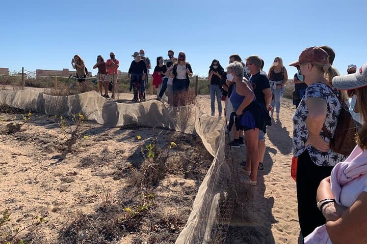 Wine Route Through La Mata Natural Park: Tasting & Local Pairings in Torrevieja photo 3