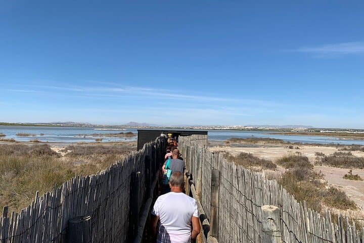 Wine Route Through La Mata Natural Park: Tasting & Local Pairings in Torrevieja photo 4