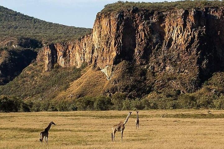 Hells Gate & Lake Naivasha: Rift Valley Day Trip to Cliffs, Hippos and Hot Springs photo 5