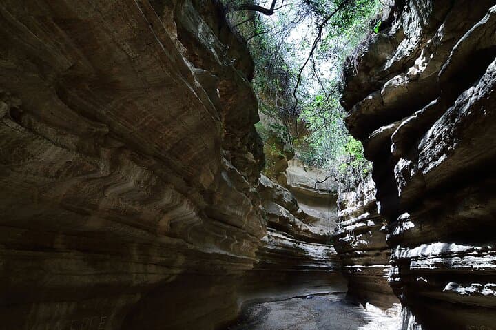 Hells Gate & Lake Naivasha: Rift Valley Day Trip to Cliffs, Hippos and Hot Springs photo 6