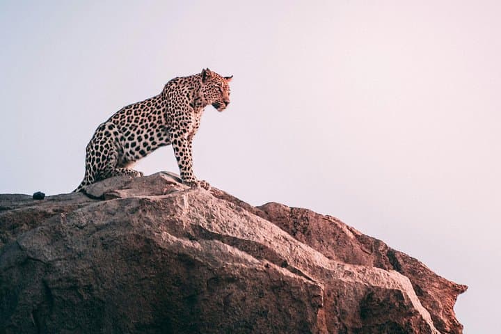 Budget 2-Day Safari: Tarangire and Ngorongoro Crater Group Tour photo 4