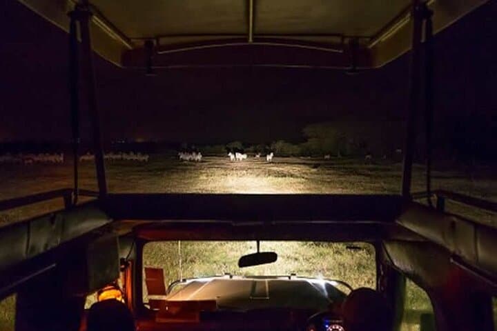3-Day Private Safari to Voyager Ziwani Camp with Night Game Drives photo 2