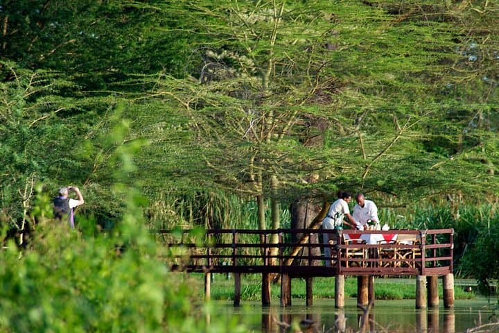 3-Day Private Safari to Voyager Ziwani Camp with Night Game Drives photo 3