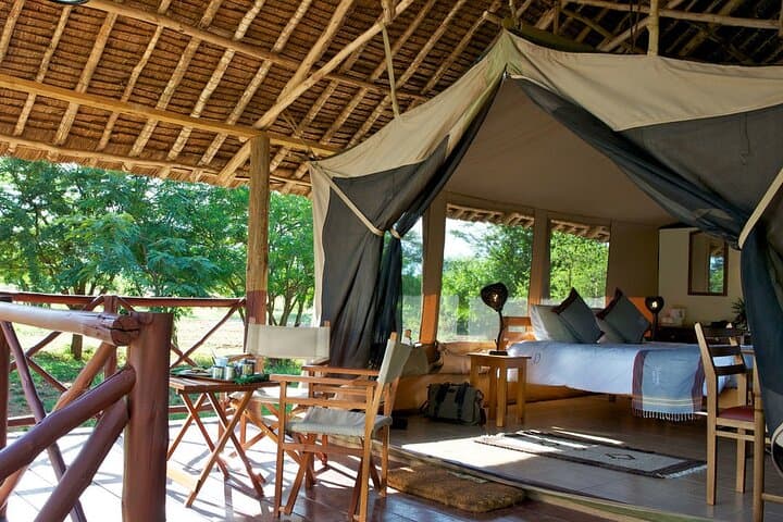 3-Day Private Safari to Voyager Ziwani Camp with Night Game Drives photo 5