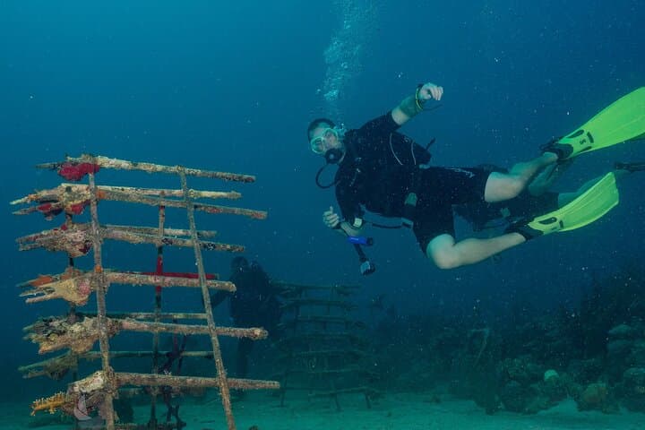Private Bayahibe 3-Tank Diving Day Trip from Punta Cana — Full-Day Caribbean Scuba photo 4