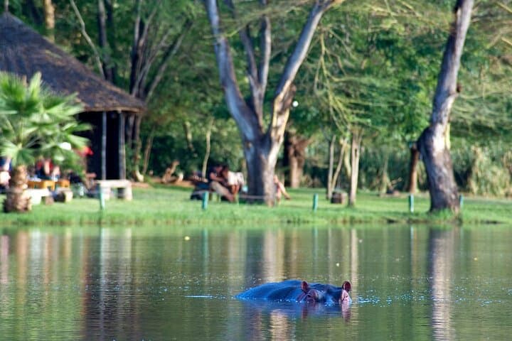 3-Day Private Safari to Voyager Ziwani Camp with Night Game Drives photo 4