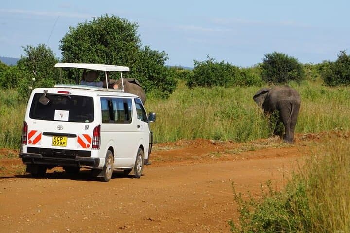 Full-Day Private Safari to Ol Pejeta Conservancy from Nairobi photo 2