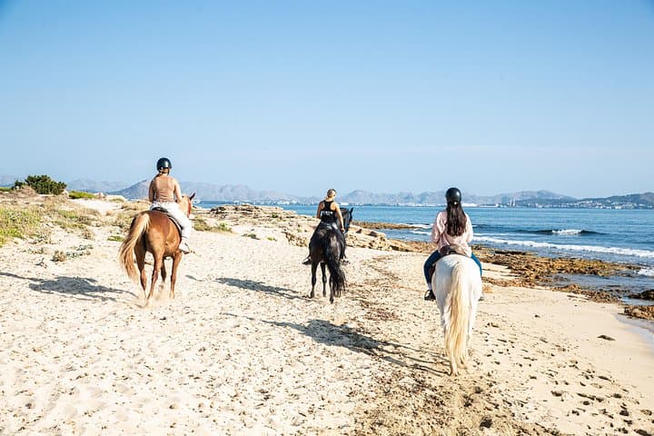 3-Hour Beach Horse Riding in Alcudia Bay — Can Picafort Equestrian Tour