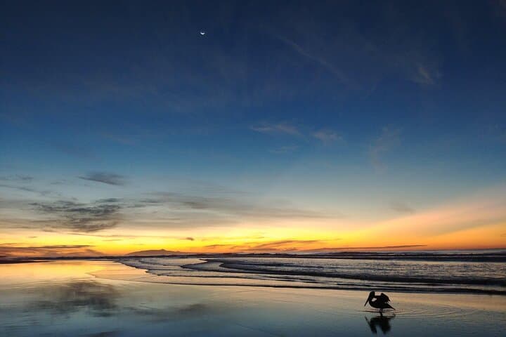 San Salvador Airport Transfer to El Cuco & Punta Mango — Beach Shuttle Guide photo 2