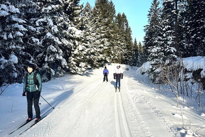 Learn Nordic Skiing in Oslo: Private Lesson at Holmenkollen photo 2