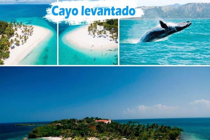 Samana Full Day: El Limon Waterfall and Cayo Levantado (Bacardi Island)
